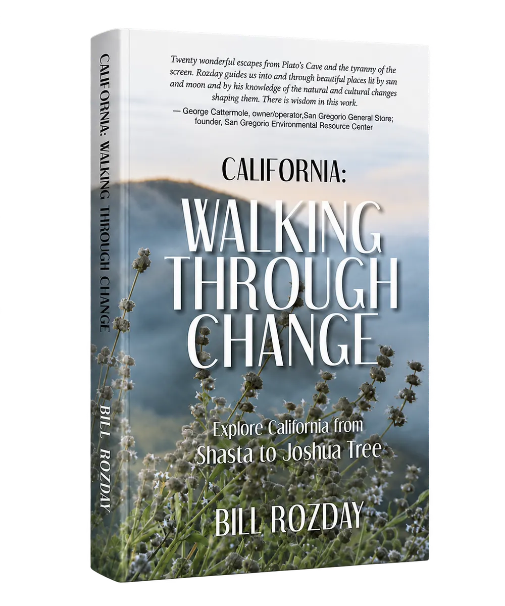 California: Walking Through Change by Bill Rozday