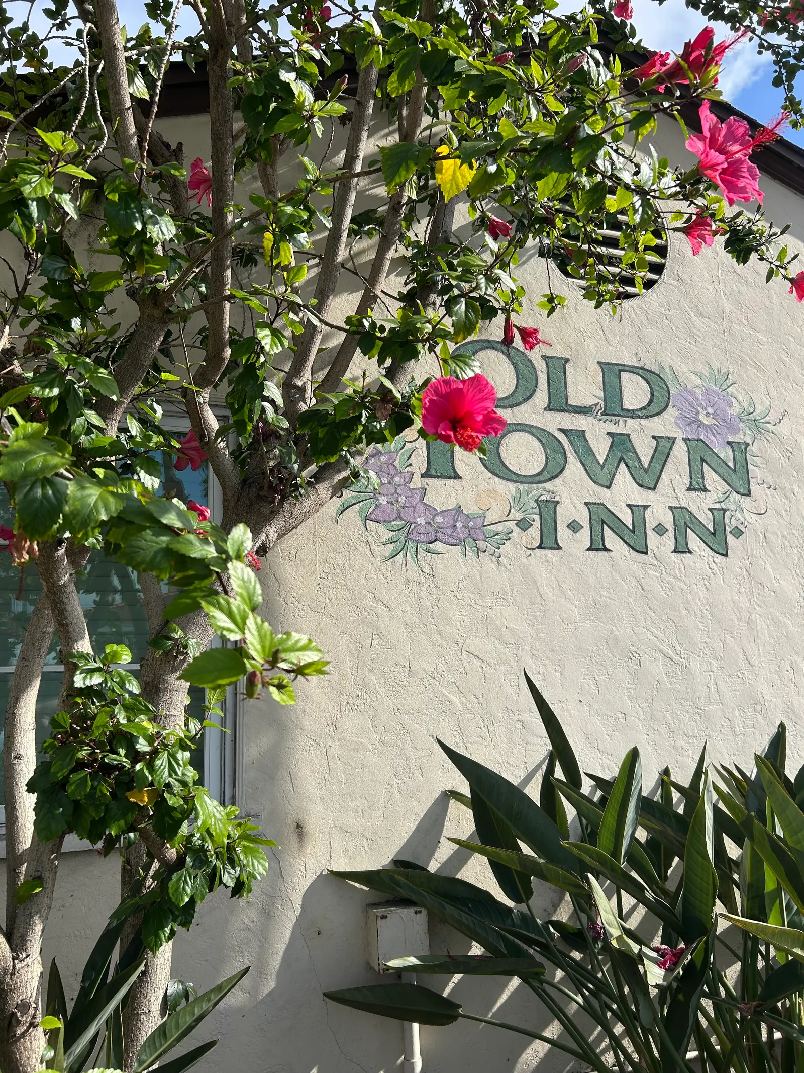 Hibiscus blossoms frame the hand-painted Old Town Inn sign in San Diego